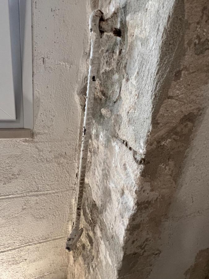 Maison Carolina Vieste Zewnętrze zdjęcie